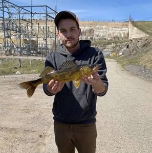 Meet your Posher, Steven